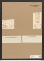 Diatomeae indet. Zeichnungen Sammlung Grunow Nr. 4481 (NHMW-BOT-W0372438)